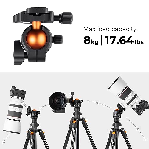 K&F CONCEPT 64 inch/163cm Camera Tripod,Lightweight Aluminum Travel Outdoor Tripods with Metal Ball Head Load Capacity 8kg/17.6lbs,Phone Holder, Quick Release Plate, for DSLR Cameras O234A1+BH-36