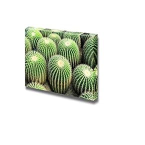 Canvas Prints Wall Art - Beautiful View of a Cactus | Modern Wall Decor/Home Art Stretched Gallery Wraps Giclee Print & Wood Framed. Ready to Hang - 12" x 18"