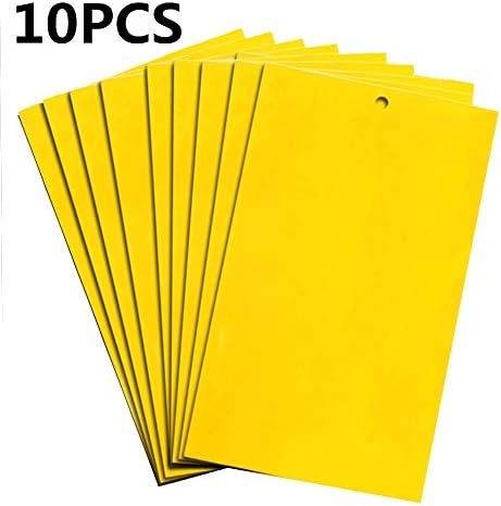 10PCS Two-Sided Sticky Flies Trap Insects Killer, Glue Stickers Board Fruitfly Traps