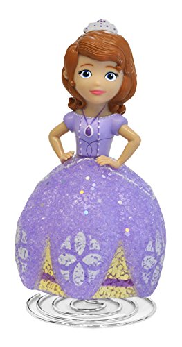 Sofia The First Room Decor