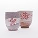Japanese tea cup set, beautiful cherry blossom flowers designs, set of 2 cups