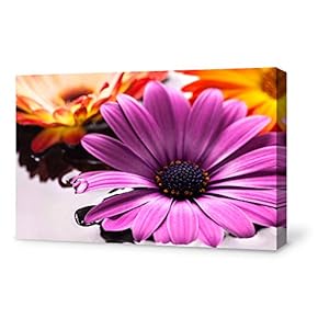 Canvas Wall Art for Living Room,Bedroom Home Artwork Paintings Orchid SPA Backgrounds Ready to Hang - 12x18 inches