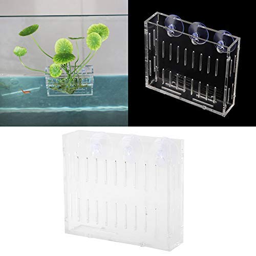 Fish Tank Water Plants Planter Aquarium Plant Water Grass Cup Landscape Plants Cultivation Basin Cup with Suction Cups Acrylic Flowerpot Home Decor