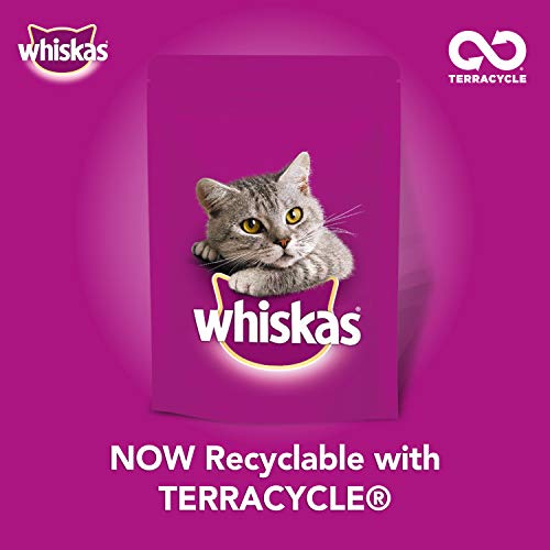 whiskas kitten milky treats