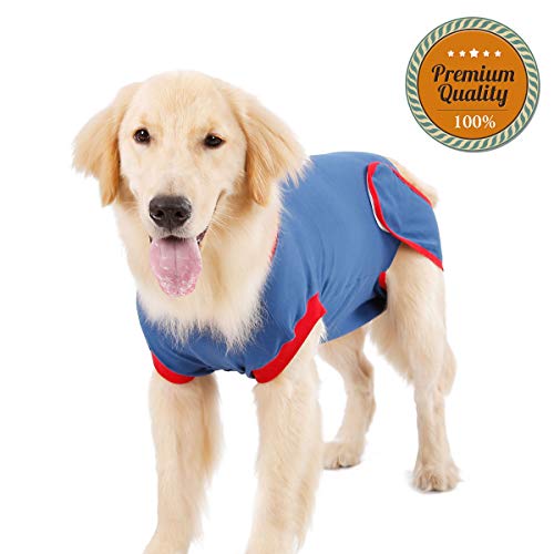 post operative protection shirt for dogs