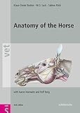 Image de Anatomy of the Horse