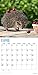 2020 Hedgehogs Calendar 16 Month 12 x 12 Wall Calendar by Bright Day Calendars (Hedgehogs 2019)