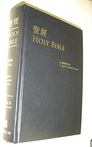 Amazon.com: 日本文様図集 明治の輸出工芸図案―起立工商会社の歴史
