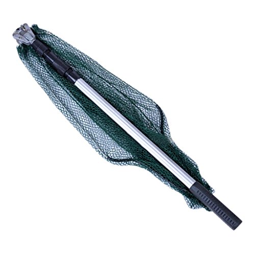 Musheng™ – Épuisette Triangulaire Télescopique Et Pliable Pour La Pêche – Avec Poignée Rétractable En Acier Inoxydable…