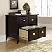 Sauder Shoal Creek Lateral File, Jamocha Wood finish