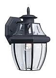 Sea Gull Lighting 8038-12 Single-Light Lancaster Medium Outdoor Wall Lantern, Clear Beveled Glass and Black