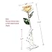 DEFAITH Real Rose 24K Gold Dipped, Forever Gifts for Her Valentine's Day Anniversary Wedding and Proposal - Ivory with Stand