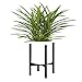 FaithLand Metal Plant Stand, Mid Century Planter Stand, Weather Resistant Potted Plant Holder, Black, Hold Up to 10 Inch Planter(Planter Not Included)