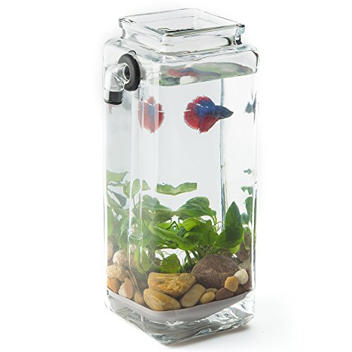 NoClean Aquariums GravityFlow Self-Cleaning Betta Aquarium - The Original Self-Cleaning Fish Tank Pet Supplies, Fish & Aquatic Pets, Aquariums & Fish Bowls, Aquariums