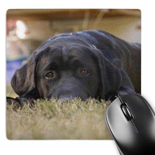 3dRose LLC 8 x 8 x 0.25 Inches Mouse Pad, Rick A. Brown (mp_84179_1)