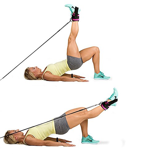 AbraFit Premium Ankle Straps Cable Machines Ab Leg Glute Exercise
