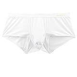 ZONBAILON Mens Sexy Underwear The Male Package