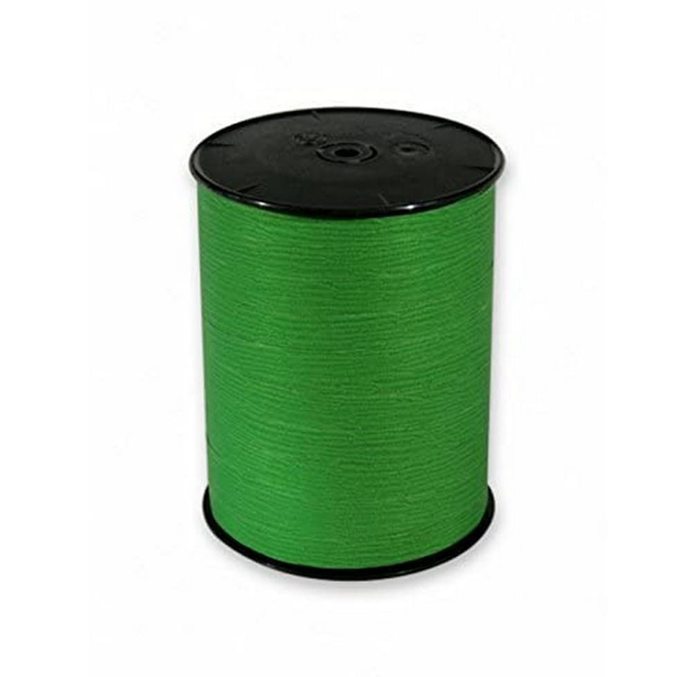 Clairefontaine 601521C - One Roll of Matt Ribbon - Dimensions: 250mx10mm - Colour: Light Green - Decorative gift ribbon, DIY, Gift wrapping Accessories