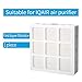 Replacement PreMax Filters, for IQair Healthpro, Healthpro Plus air purifiers, 1 Pack