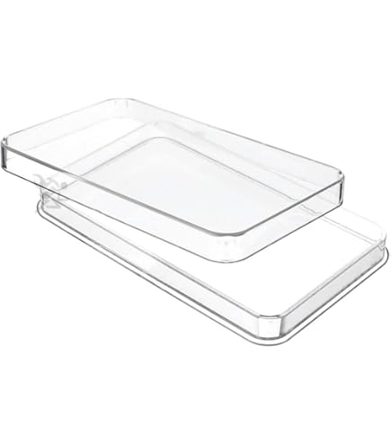 BE BRAVE 1 Oz Moneta Argento 1000 Francs Cameroon 2024