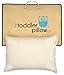 Toddler Pillow 13x 19-Inch Hypoallergenic Organic Cotton Shell Pillow and Carrying Bag, Blue Owl