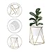 Fieren Indoor Planter pots,Succulent pots,Small Flower Pot,Indoor Plant Stand for 4.3