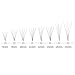 LASHVIEW Pandora Cluster 0.07mm C Curl 12mm 5D Volume Eyelash Extension Professional Natural Long Rapid Cluster Lashes Pre-fanned Volume Eyelash c curl Pro Granting knot free lashes cluster