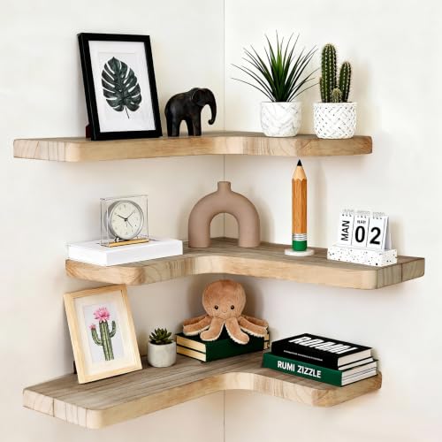 Floating Corner Shelves, Wall Shelf Set of 3, Shelves for Wall Storage,