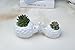 A Pair of Hedgehog White Ceramic Succulent Planter Pots/Mini Flower Plant Containers
