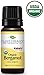 Plant Therapy Organic Bergamot Essential Oil 10 mL (1/3 oz) 100% Pure, Undiluted, Therapeutic Grade