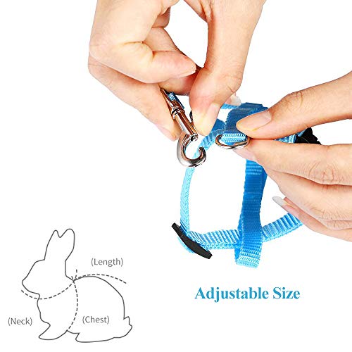 Arnés Ajustable Para Gatos Con Correa - Nylon Suave, Hebilla Rápida, Ajuste En Pecho Y Cuello (21-34 Cm Pecho, 17-27 Cm Cuello), Incluye Correa De 120 Cm