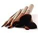 Vander Professional Makeup Brush Set Cosmetics Foundation Blending Blush Eyeliner Face Powder Brush Kabuki Makeup Brushes (12pcs Golden)