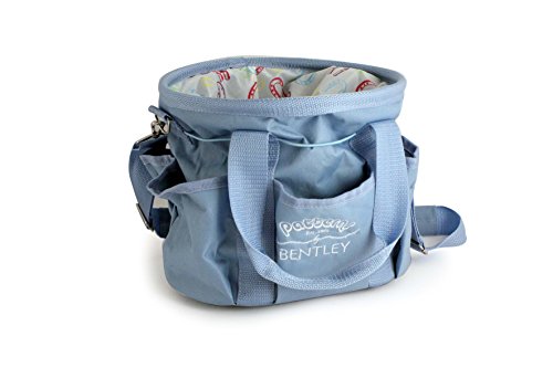BENTLEY PATTERNS HORSE SHOE CARRY BAG BLUE
