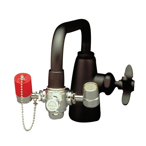 Watersaver Eyesafe Ew101 Faucet Mounted Eyewash Unit With