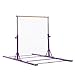 Usexport Gymnastics Expandable Junior Training Bar Adjustable 3' to 5' Horizontal Bar Purple
