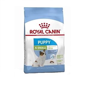 Royal canin X-small Junior pienso para perros mini/toy