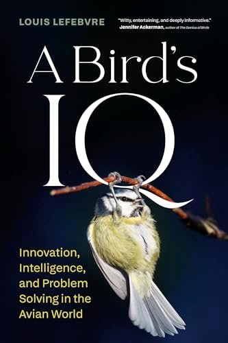 Amazon.com: The Evolution of Insect Mating Systems: 9780199678020