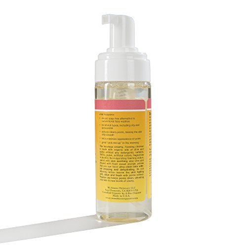 Mambino Organics Face Wash, New Beginning Pore Refining, 5.5 Fluid Ounce