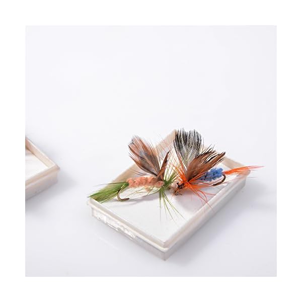 BLISSWILL-48Pcs-Butterfly-Fly-Fishing-Lures-Dry-Flies-Set-Floating-Flies-Hooks-for-Bass-Salmon-Trout