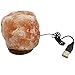 Exotic Pink Salts Himalayan Salt Lamp, 2 Pound