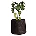 Smart Pots 1-Gallon Smart Pot Soft-Sided Container, Black