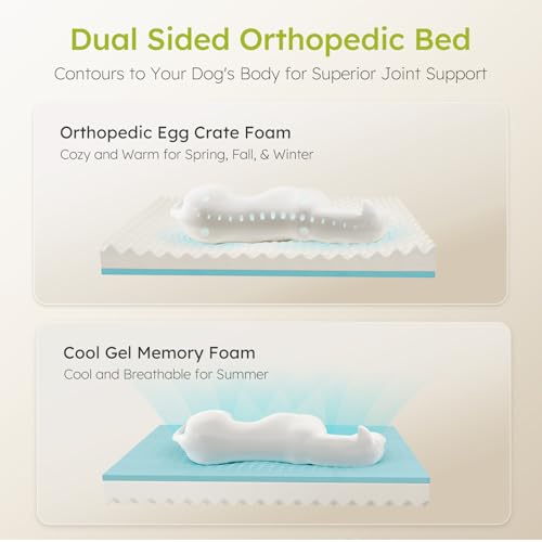 CWAWZ Cama XXL para Perros Extra Grandes, Cama ortopédica Gigante para Perros con Espuma viscoelástica con Gel refrescante, Cama Impermeable para Perros con Funda extraíble y Lavable, sofá Cama para