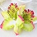 MorningRising 20 Pcs Multicolor Women Girls Orchid Flower Bohemian Leopard Hair Clip Wedding Party Beach Bridal Hairclip Hair Pins Hair Barrette Accessories
