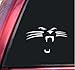 Carolina Panthers Face #1 Vinyl Decal Sticker - White