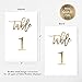Gold Wedding Table Numbers (Color Options Available), 4x6 Modern Calligraphy Foil Design, Double Sided, Numbers 1-25 (Gold Foil)