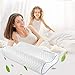 Anvo Memory Foam Pillow, Neck Contour Cervical Orthopedic Pillow for Sleeping Side Back Stomach Sleeper, Ergonomic Bed Pillow for Neck Pain - Blue White, Soft