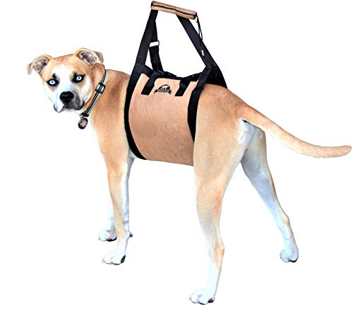 disabled dog harness