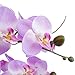 Flower Arrangement with Decorative Vase Full Artificial Orchid Plant with Real Looking (Light Purple)