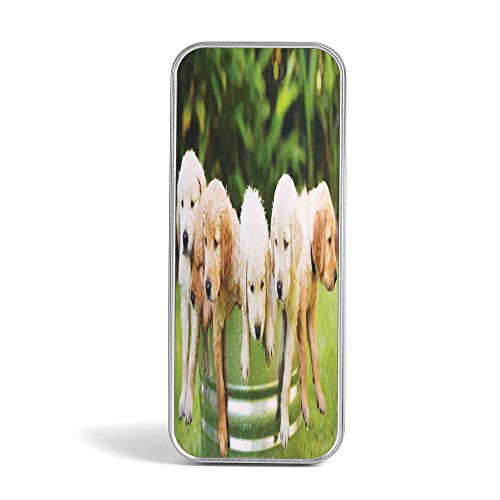 Eco Friendly,Mini Pencil Box,Dog Lover Decor,Gift,Jewelery and Storage Tin Kit,Home Organizer,Collection of Different Funny Dog Heads Puppy Canin Irish Humorous Cartoon
