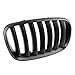uxcell 2pcs Matte Black Front Hood Kidney Grille Grill for 07-13 BMW E70 X5 E71 X6 4D